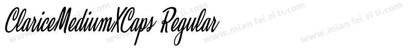 ClariceMediumXCaps Regular字体转换